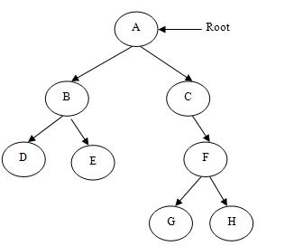 Differnce between Trees and Graphs : Trees