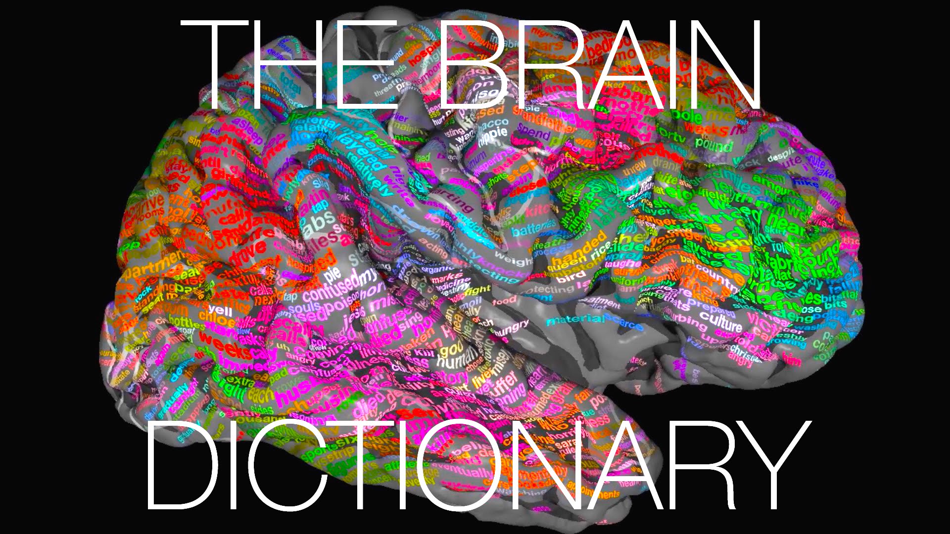 A new atlas of brain shows the where we store our words2
