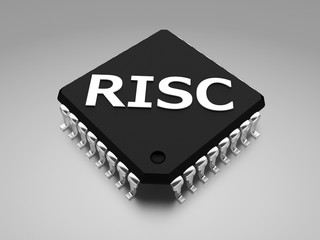 Risc Logo